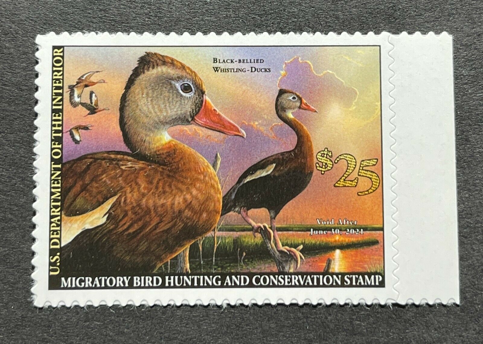 Wtdstamps - #rw87 2020 - Us Federal Duck Stamp **eddie Leroy**  Mint Og Nh