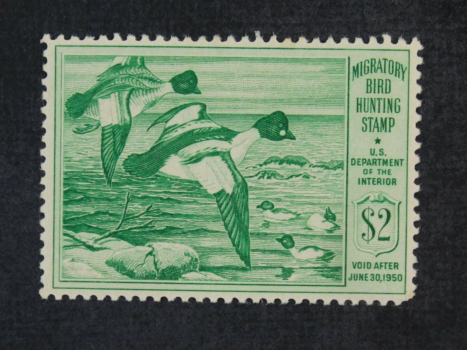 Ckstamps: Us Federal Duck Stamps Collection Scott#rw16 $2 Mint Lh Og