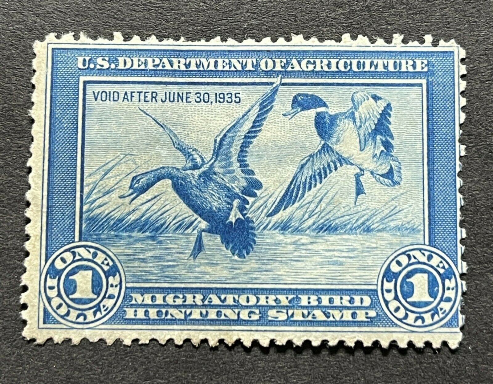 Wtdstamps - #rw1 1934 - Us Federal Duck Stamp - Ng